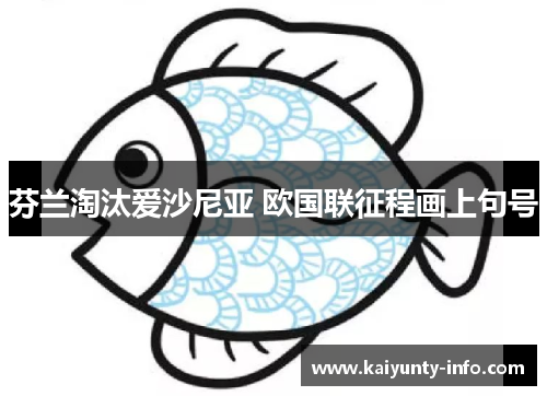芬兰淘汰爱沙尼亚 欧国联征程画上句号