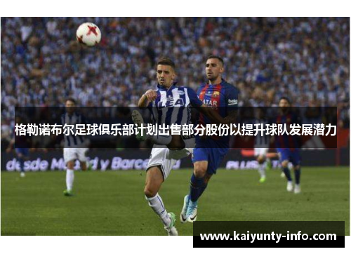 格勒诺布尔足球俱乐部计划出售部分股份以提升球队发展潜力