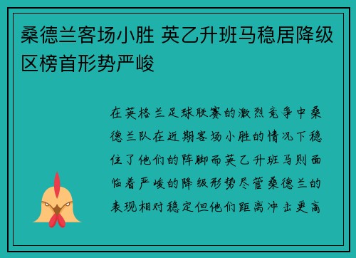 桑德兰客场小胜 英乙升班马稳居降级区榜首形势严峻